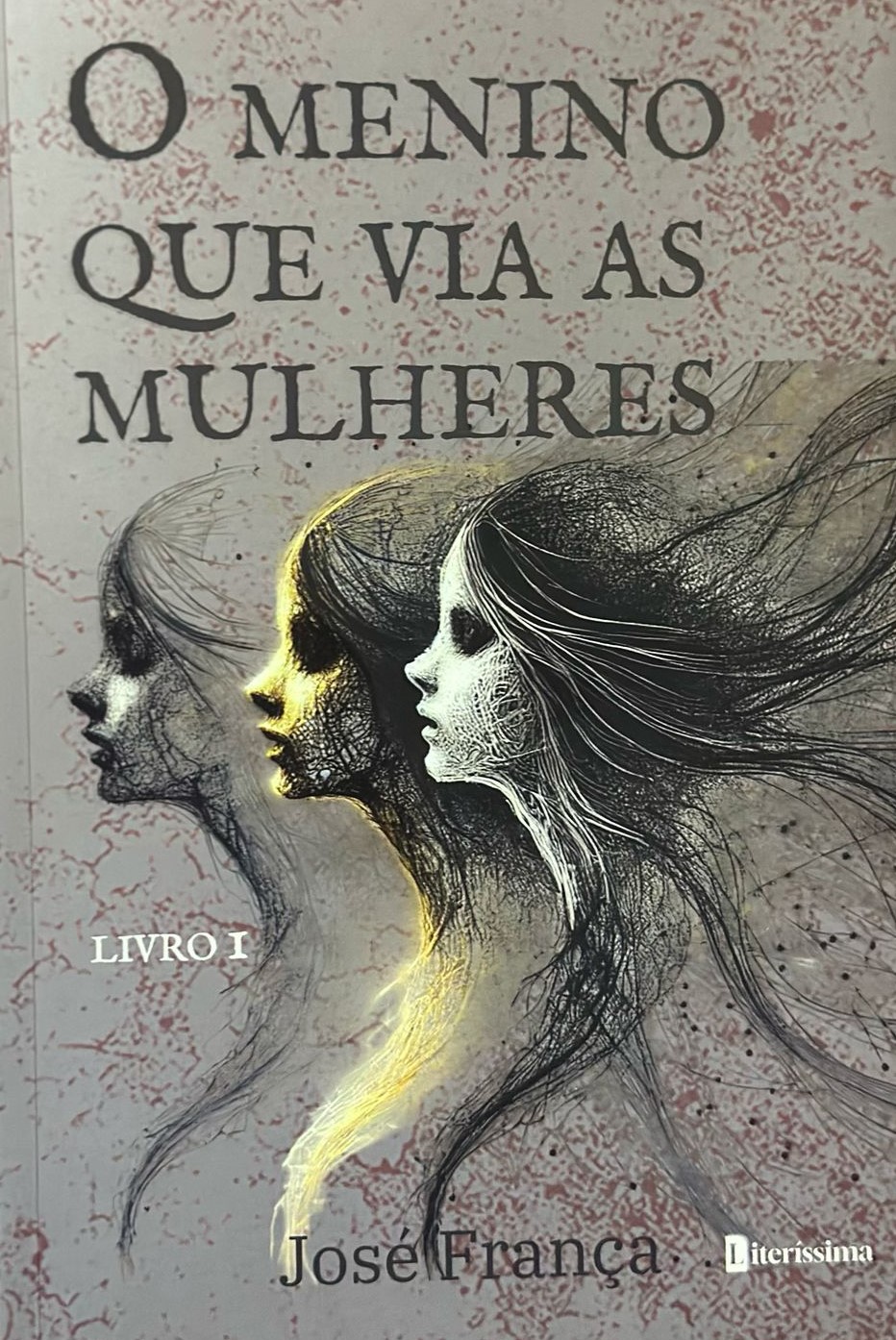 Capa do livro O Menino Que Via As Mulheres